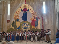Margaretki w Łagiewnikach