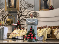 Margaretki w Łagiewnikach