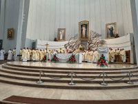 Margaretki w Łagiewnikach