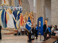 Margaretki w Łagiewnikach