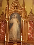 Margaretki w Łagiewnikach
