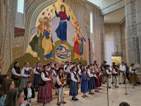 Margaretki w Łagiewnikach