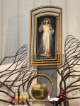 Margaretki w Łagiewnikach