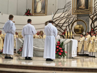 Margaretki w Łagiewnikach