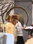 Margaretki w Łagiewnikach