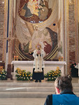 Margaretki w Łagiewnikach