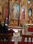 Margaretki w Łagiewnikach