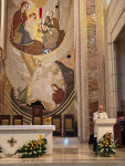 Margaretki w Łagiewnikach