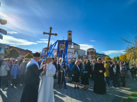 Margaretki w Łagiewnikach