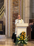 Margaretki w Łagiewnikach