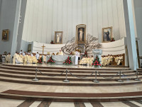 Margaretki w Łagiewnikach